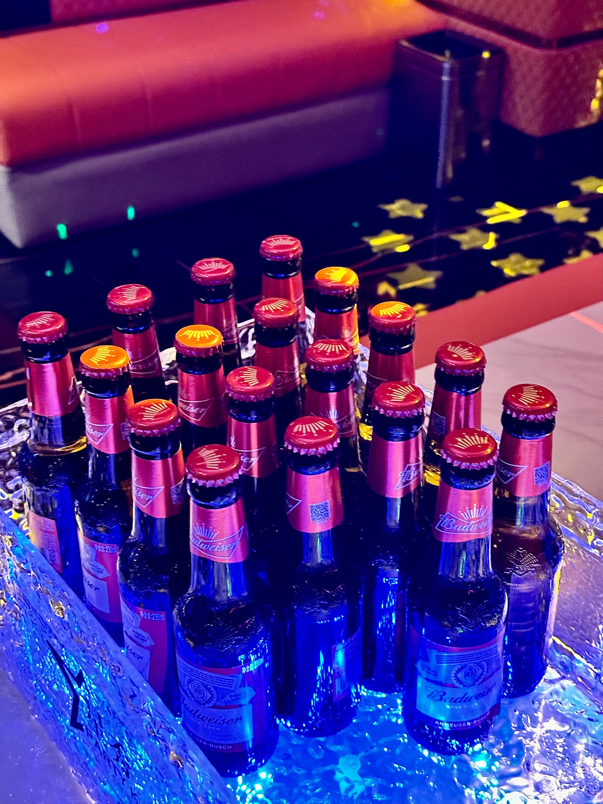 大兴安岭商务ktv，划算实惠选择-新林区ktv预定